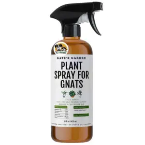 Plant Spray for Insects