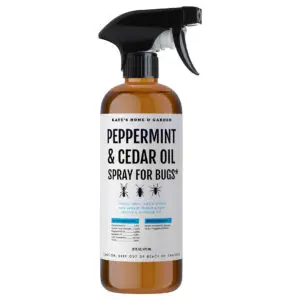 Insect Spray